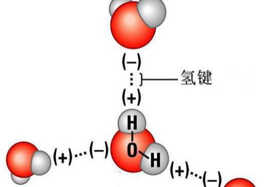 氢键的形成图片